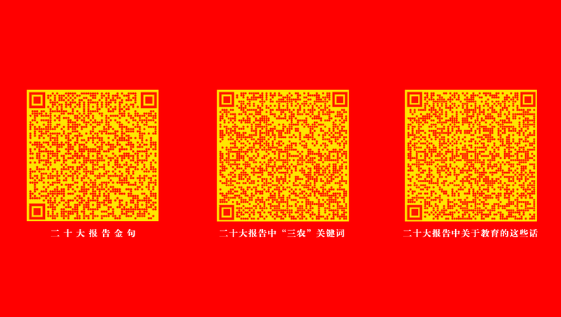 二十大报告学习资料二维码_1.png