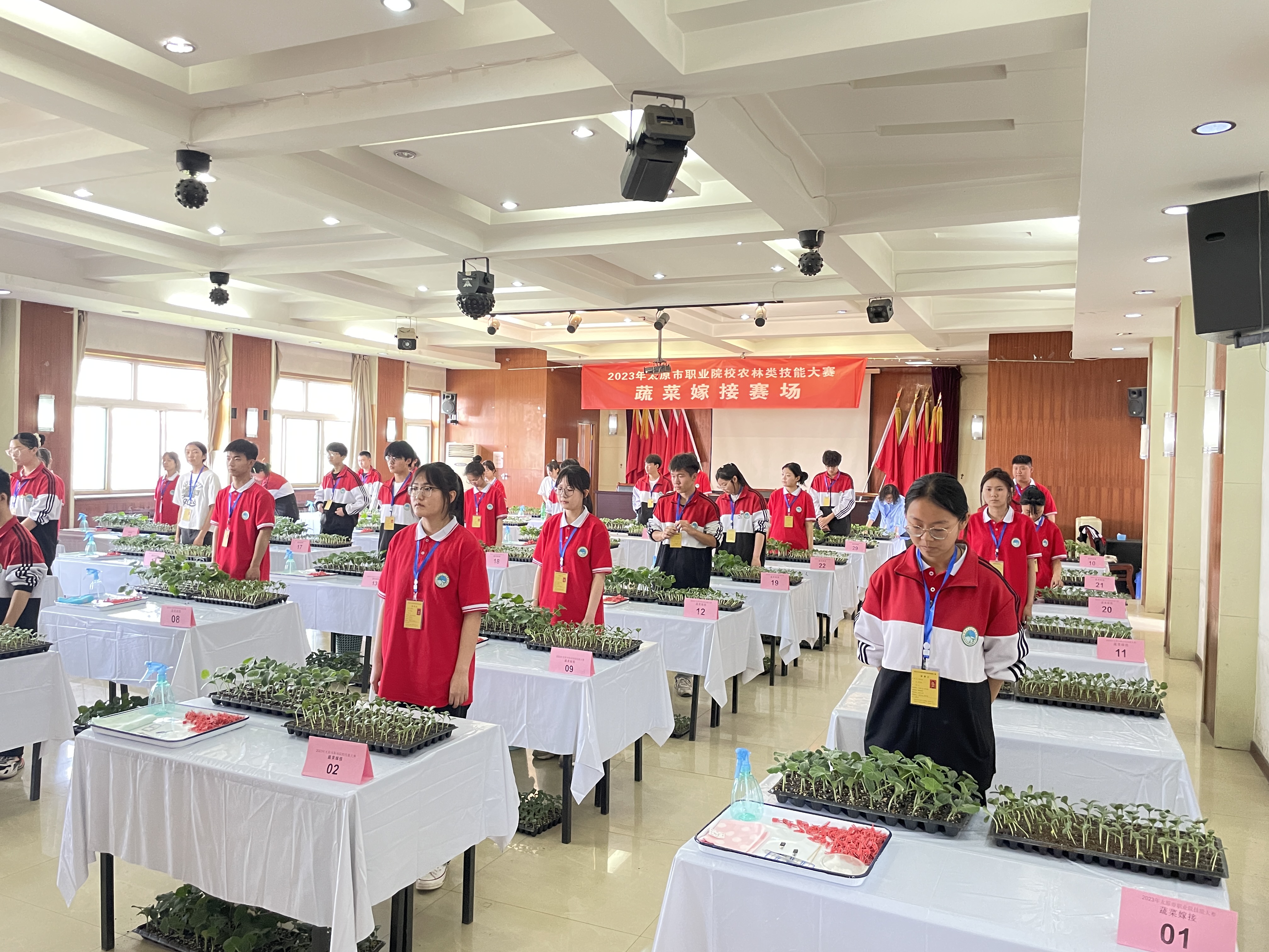 13c726fa9ff83596e5b2073de7ccb12.jpg
